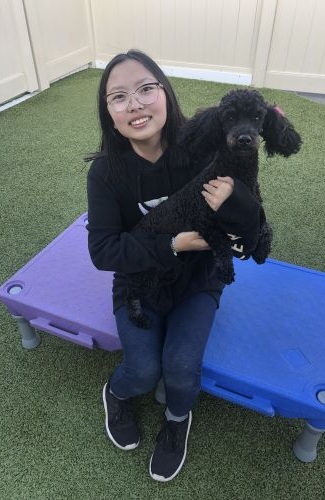 Girl sitting on klimb with poodle