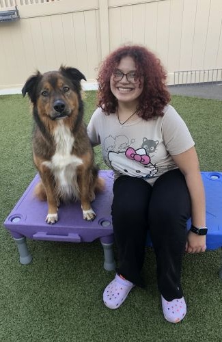 girl sitting with fluffy dog