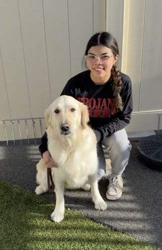 Young woman with golden retriever