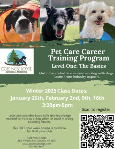 class flyer with dog pictures and class dates